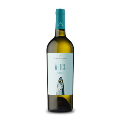 Vente Alice Salento IGT Verdeca Producteurs de Manduria