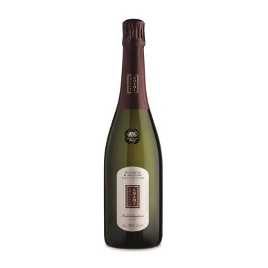 Verkauf Weinberg Giardino Dry Valdobbiadene DOCG Prosecco Superiore Rive di Colbertaldo Adami