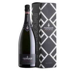 Venta Maximum Blanc de Blancs Trentodoc Magnum Cased Ferrari