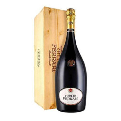 Vendita Giulio Ferrari Riserva del Fondatore Magnum Legno Trentodoc Ferrari