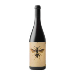 Venta Sangiovese Predappio Romaña DOC Noelia Ricci