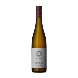 Vente de vin Nosiola Vigneti delle Dolomiti IGT Cesconi