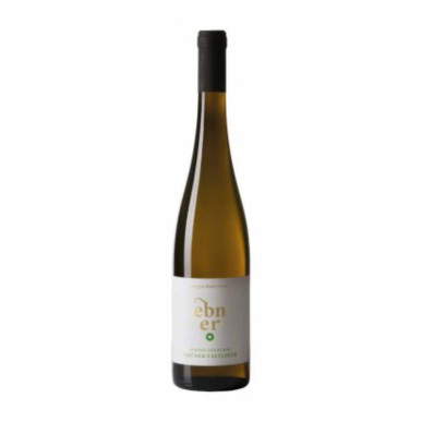 Vendita vino Alto Adige Valle Isarco Grüner Veltliner Ebner