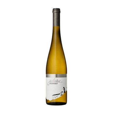 Sale Sabiona Sylvaner Alto Adige Valle Isarco DOC Cantina Esacktal Valle Isarco