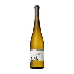 Venta Kerner Sabiona Alto Adige Valle Isarco DOC Bodega Esacktal Valle Isarco