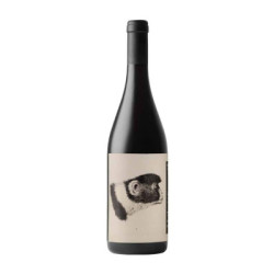Venta de vino Godenza Romagna DOC Sangiovese Predappio Noelia Ricci