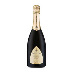Vin Gaio Extra Sec DOCG Collalto à vendre
