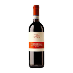 Sale of Valpolicella Classico DOC Villa Spinosa wine
