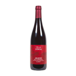 Amarone della Valpolicella Classico DOCG wine for sale at Villa Spinosa