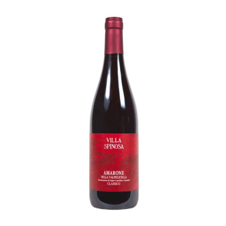 Amarone della Valpolicella Classico DOCG wine for sale at Villa Spinosa