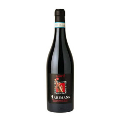 Harimann Montepulciano d'Abruzzo DOP Pasetti Wein zu verkaufen