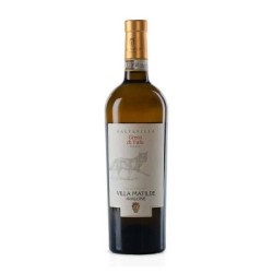 Vino Daltavilla Greco di Tufo DOCG en venta Villa Matilde Avallone