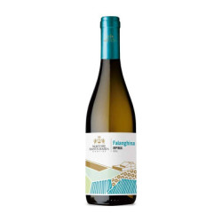 Falanghina Irpinia DOC Macchie Santa Maria wine for sale