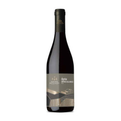 Sale of Optio Irpinia Aglianico DOC Macchie Santa Maria wine