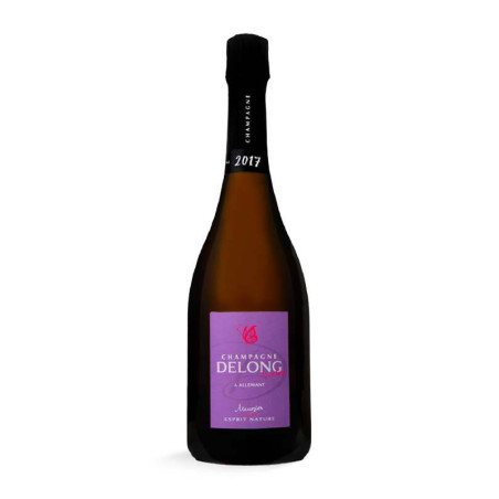 Champán Esprit Nature Meunier Delong en venta