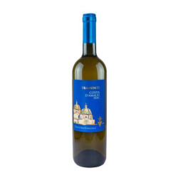 Verkauf des Weins Tramonti Bianco DOC Tenuta San Francesco von der Amalfiküste