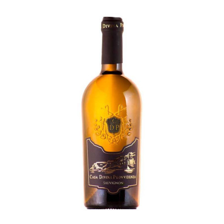 Vendita vino Sauvignon Lazio IGP Bianco Casa Divina Provvidenza