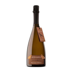 Sale of Extra Brut Alta Langa DOCG Marziano Abbona wine