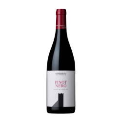 Südtiroler Pinot Nero DOC Colterenzio Weinverkauf