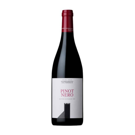 Südtiroler Pinot Nero DOC Colterenzio Weinverkauf