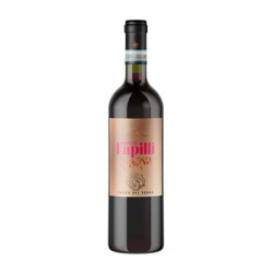Venta de vino Colli Euganei Merlot Riserva DOC Lapilli Parco del Venda