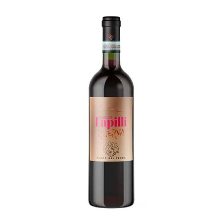 Sale of Colli Euganei Merlot Riserva DOC Lapilli Parco del Venda wine
