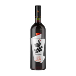 Cigno Nero Merlot Khorus Veneto IGT wine sale Parco del Venda