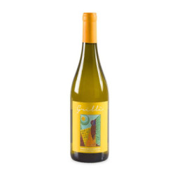 Verkauf des Weins Grillì Verdicchio di Matelica DOC Villa Collepere
