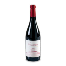 Verkauf von Wein Il Collepere Colli Maceratesi Rosso DOC Villa Collepere