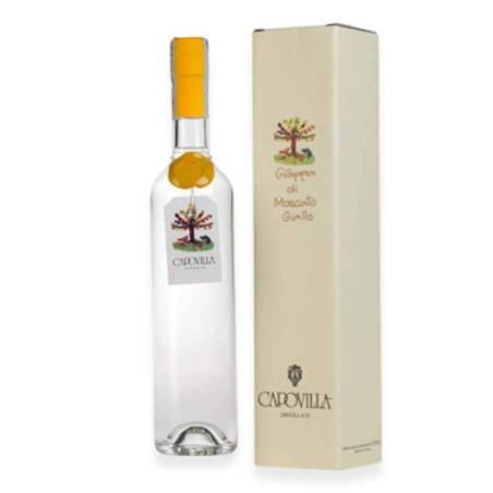 Venta Grappa de Moscato Giallo