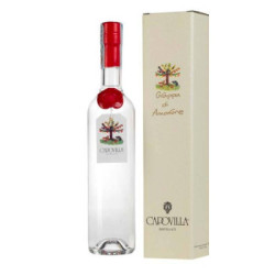 Venta Grappa de Amarone Capovilla