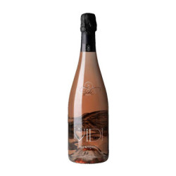 Vidi Rosé Trento DOC Klassische Methode Wein zu verkaufen