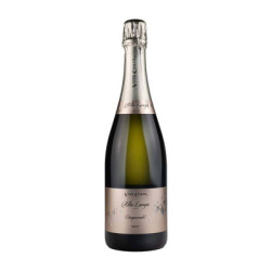 Cinquecento Alta Langa DOCG Brut Millesimato Vite Colte Wein zu verkaufen