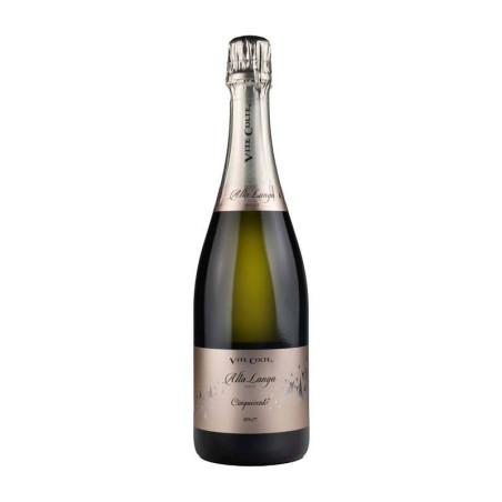 Cinquecento Alta Langa DOCG Brut Millesimato Vite Colte Wein zu verkaufen