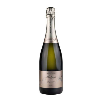 Cinquecento Alta Langa DOCG Brut Millesimato Vite Colte Wein zu verkaufen