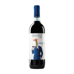 Valpolicella DOC wine for sale at La Corte del Pozzo Fasoli Gino