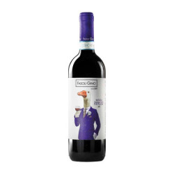 Valpolicella Ripasso DOC wine for sale at La Corte del Pozzo Fasoli Gino