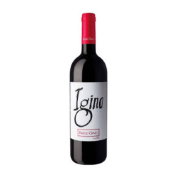 Igino Cabernet Sauvignon Veronese IGT wine for sale by Fasoli Gino