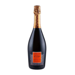 Vendita vino Grappoli di luna Prosecco DOCG Extra Dry La vigna di Sarah