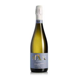 MAN Blanc de Noirs Nature Trentodoc | Classic Method Sparkling Pinot Noir