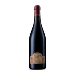 Marina Cvetic Montepulciano d'Abruzzo DOC Riserva | Masciarelli