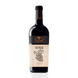 Le Due Torri The Pulse Red Wine IGT Trevenezie | Technical Sheet and Characteristics