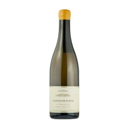 Valle Reale Trebbiano d'Abruzzo “Popoli Vineyard” DOC