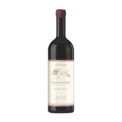 Valle Reale Montepulciano d'Abruzzo “Popoli Vineyard” – Abruzzo Mountain Red Wine