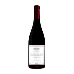 Valle Reale Montepulciano d'Abruzzo Vigna del Convento | Organic Red Wine