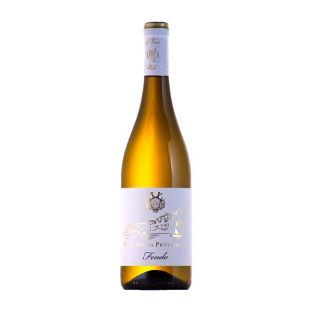 Casa Divina Provvidenza Feudo Malvasia Lazio Bianco IGP | Vino Bianco Fresco e Aromatico