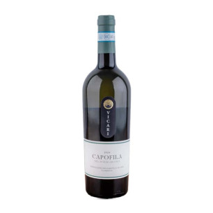 Chef de vente du Pozzo Buono Verdicchio dei Castelli di Jesi DOC Classico Vicari