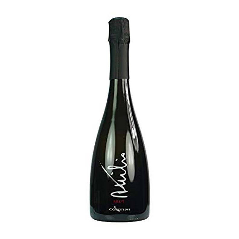 Atilio Brut Contini
