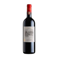 Venta de vino Chianti Classico "Monsenese" Riserva DOCG San Leonino