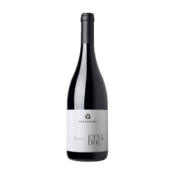 Venta Etna DOC Bianco Cottanera